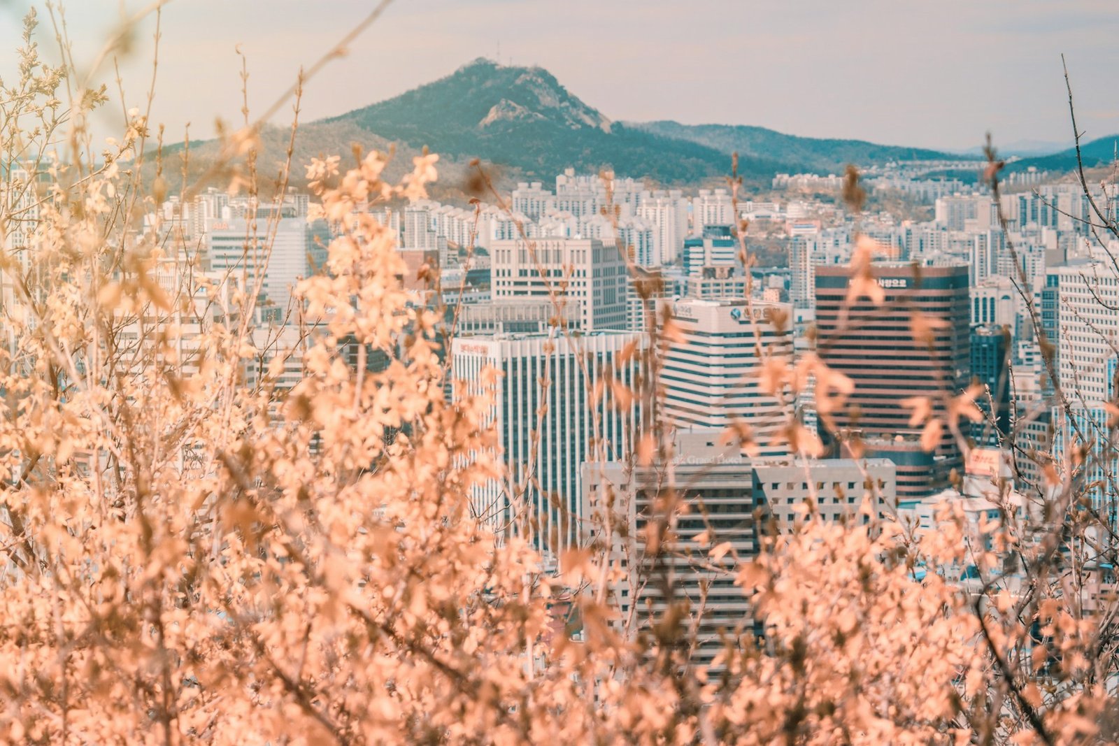 2 Wochen Sudkorea Highlights Rundreise 1