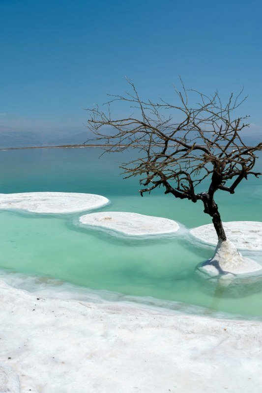 Tote meer- Jordanien