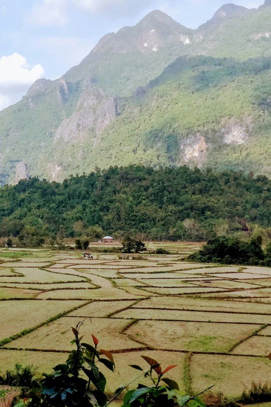 Vientiane Province Laos