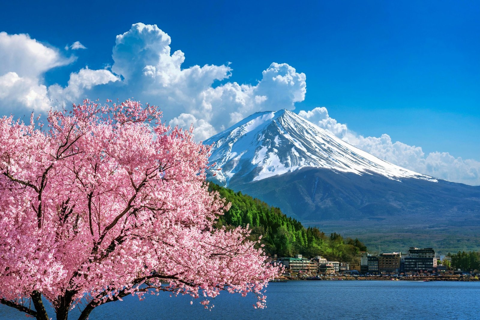 Die Schönsten Asien Hauptstädte Und Ihre Highlights